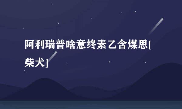 阿利瑞普啥意终素乙含煤思[柴犬]