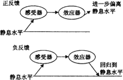 正反馈和负反馈有什么区别