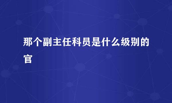 那个副主任科员是什么级别的官