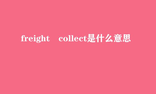 freight collect是什么意思