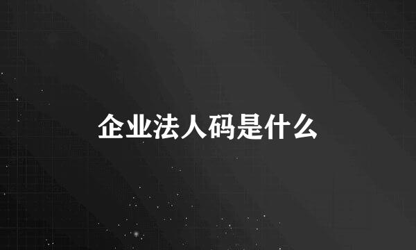 企业法人码是什么