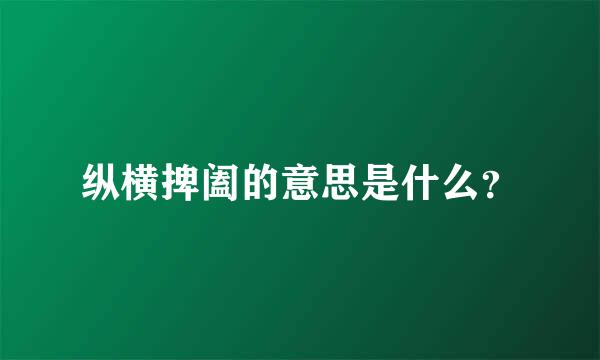 纵横捭阖的意思是什么？