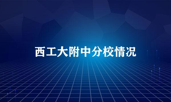 西工大附中分校情况