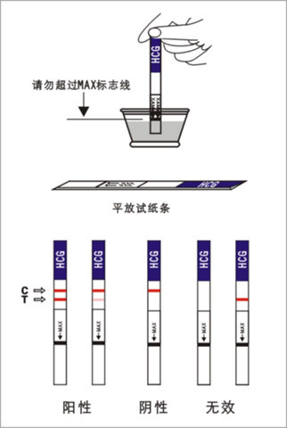 排卵试纸怎么看图解