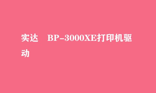 实达 BP-3000XE打印机驱动