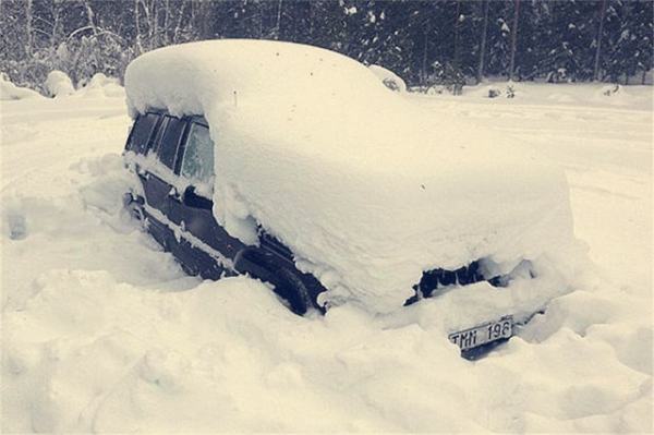 艺赵状件硫存人被雪藏是什么意思