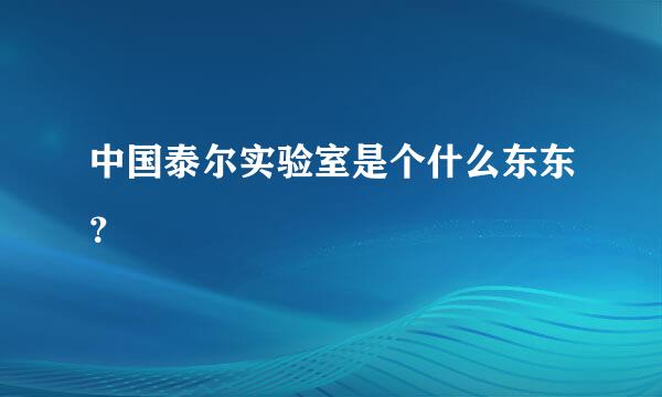 中国泰尔实验室是个什么东东？