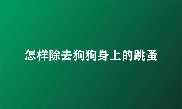 怎样除去狗狗身上的跳蚤