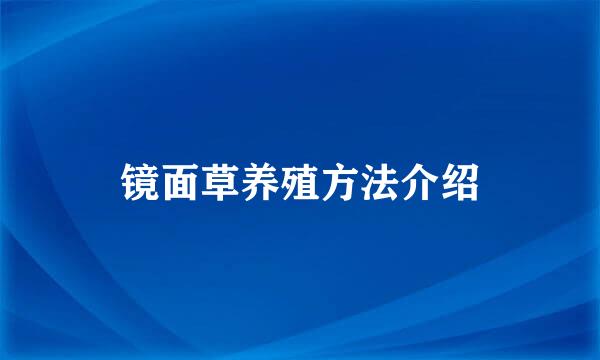 镜面草养殖方法介绍