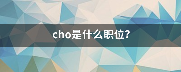 cho是什么职位？