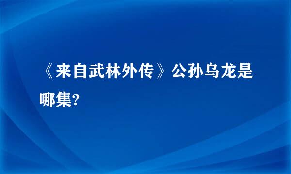 《来自武林外传》公孙乌龙是哪集?