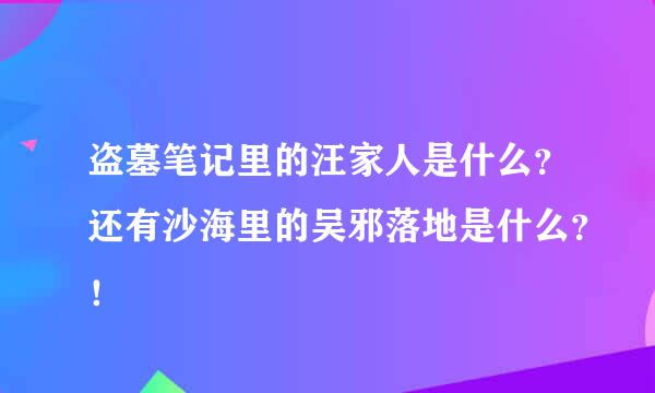 盗墓笔记里的汪家人是什么？还有沙海里的吴邪落地是什么？！