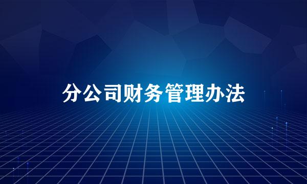 分公司财务管理办法