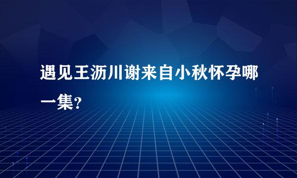 遇见王沥川谢来自小秋怀孕哪一集？