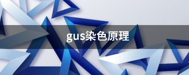 gus染色原理