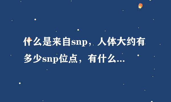 什么是来自snp，人体大约有多少snp位点，有什么特征，作用如何？