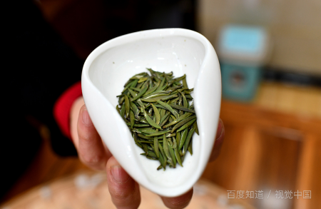 黄金芽属于什么茶