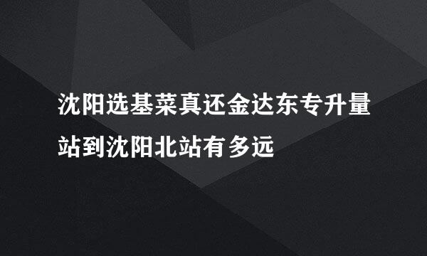 沈阳选基菜真还金达东专升量站到沈阳北站有多远