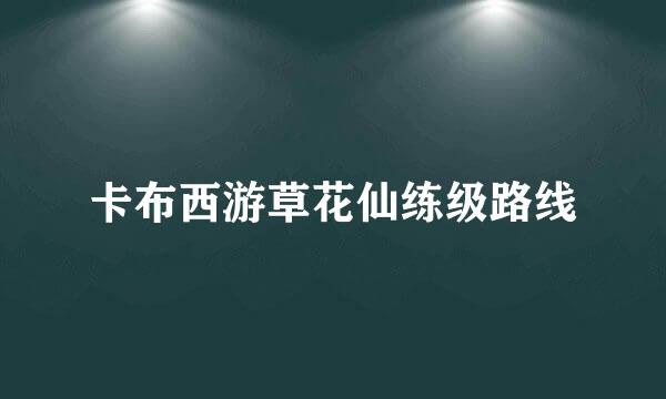 卡布西游草花仙练级路线