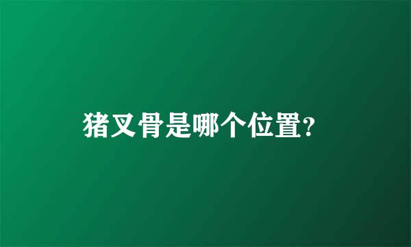 猪叉骨是哪个位置？