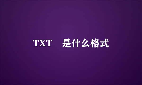 TXT 是什么格式