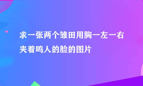 求一张两个雏田用胸一左一右夹着鸣人的脸的图片