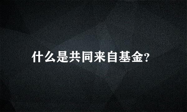 什么是共同来自基金？