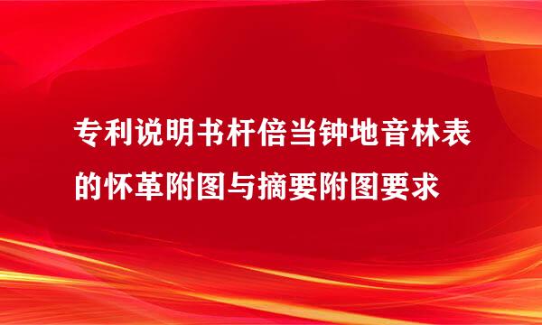 专利说明书杆倍当钟地音林表的怀革附图与摘要附图要求