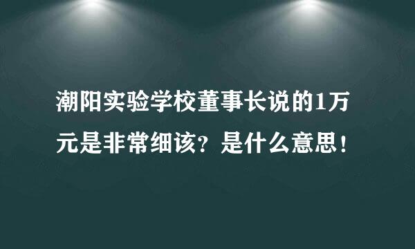 潮阳实验学校董事长说的1万元是非常细该？是什么意思！