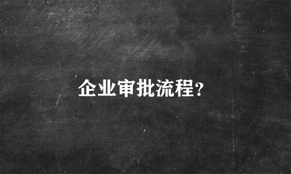 企业审批流程？