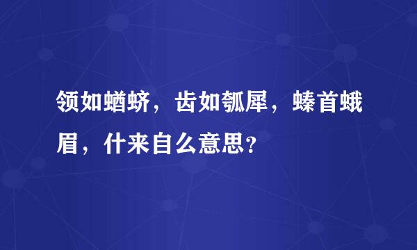 领如蝤蛴，齿如瓠犀，螓首蛾眉，什来自么意思？