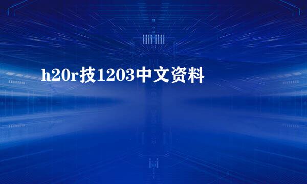 h20r技1203中文资料