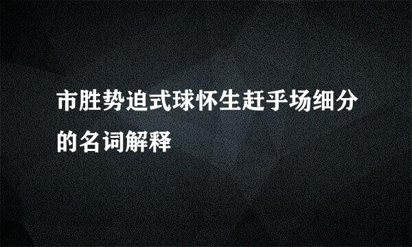 市胜势迫式球怀生赶乎场细分的名词解释