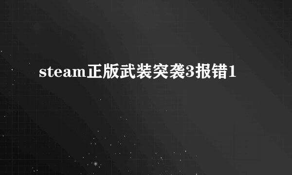 steam正版武装突袭3报错1