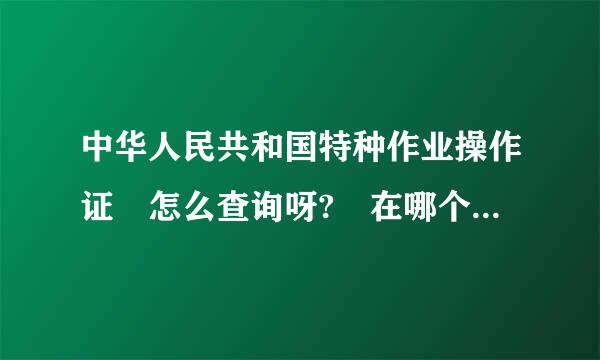 中华人民共和国特种作业操作证 怎么查询呀? 在哪个网站可以查询?