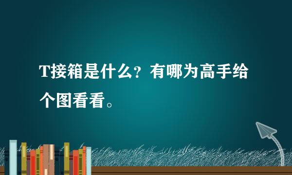 T接箱是什么？有哪为高手给个图看看。