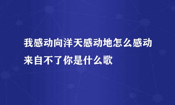 我感动向洋天感动地怎么感动来自不了你是什么歌