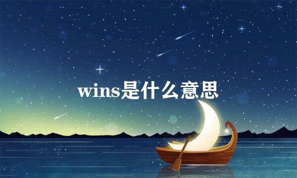 wins是什么意思