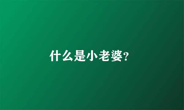 什么是小老婆？