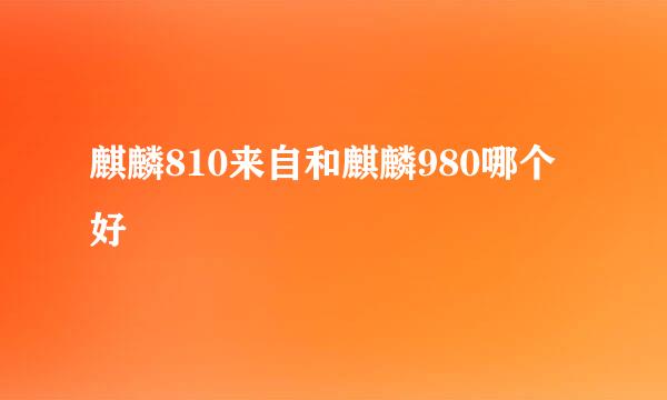 麒麟810来自和麒麟980哪个好