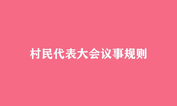 村民代表大会议事规则