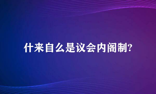 什来自么是议会内阁制?