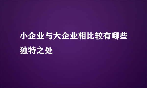 小企业与大企业相比较有哪些独特之处