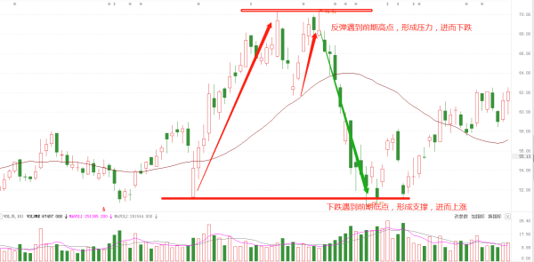 什么是支科撑位？