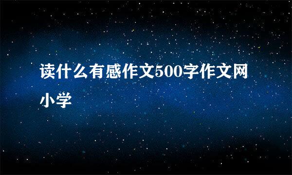 读什么有感作文500字作文网小学