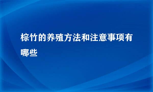 棕竹的养殖方法和注意事项有哪些