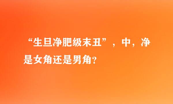 “生旦净肥级末丑”，中，净是女角还是男角？