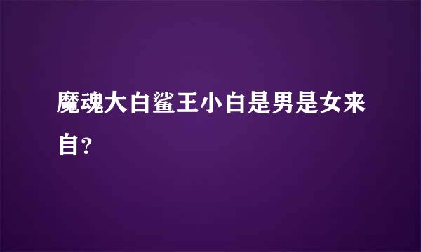 魔魂大白鲨王小白是男是女来自？