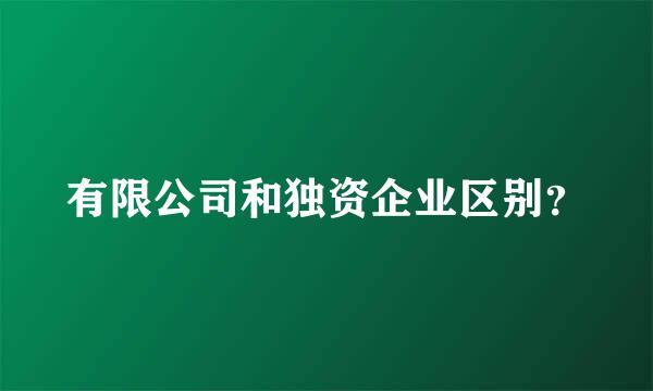 有限公司和独资企业区别？