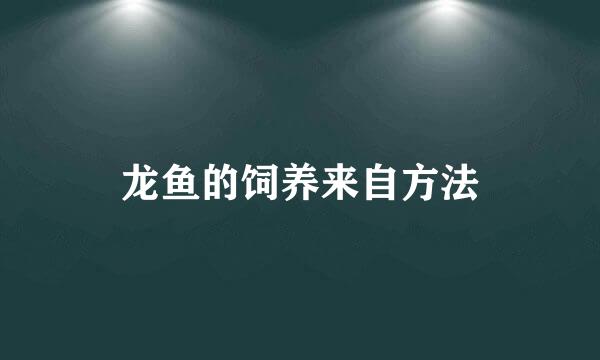 龙鱼的饲养来自方法